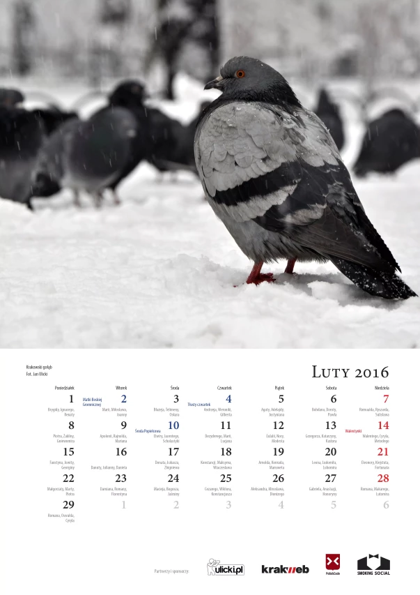 kalendarz2016-podglad-strona-04